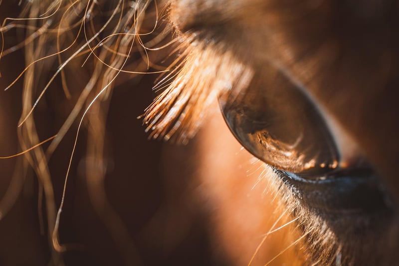 Nature-inspired Details